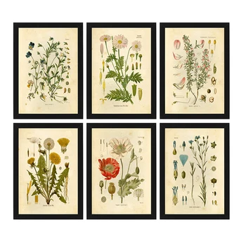 Реколта ботанически щампи, плакати с изображението на диви цветя върху платно, щампи с илюстрации на френски растения, стенни художествени картини за хол